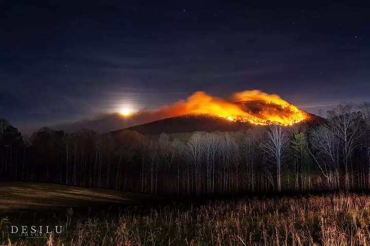 Pilot Mountain is currently on fire. It's about 30 miles north of me, and the smoke has now reached where I live. Please keep the first responders in your thoughts as they fight this fire in the freezing temperatures.

#PilotMountain #Wildfire
