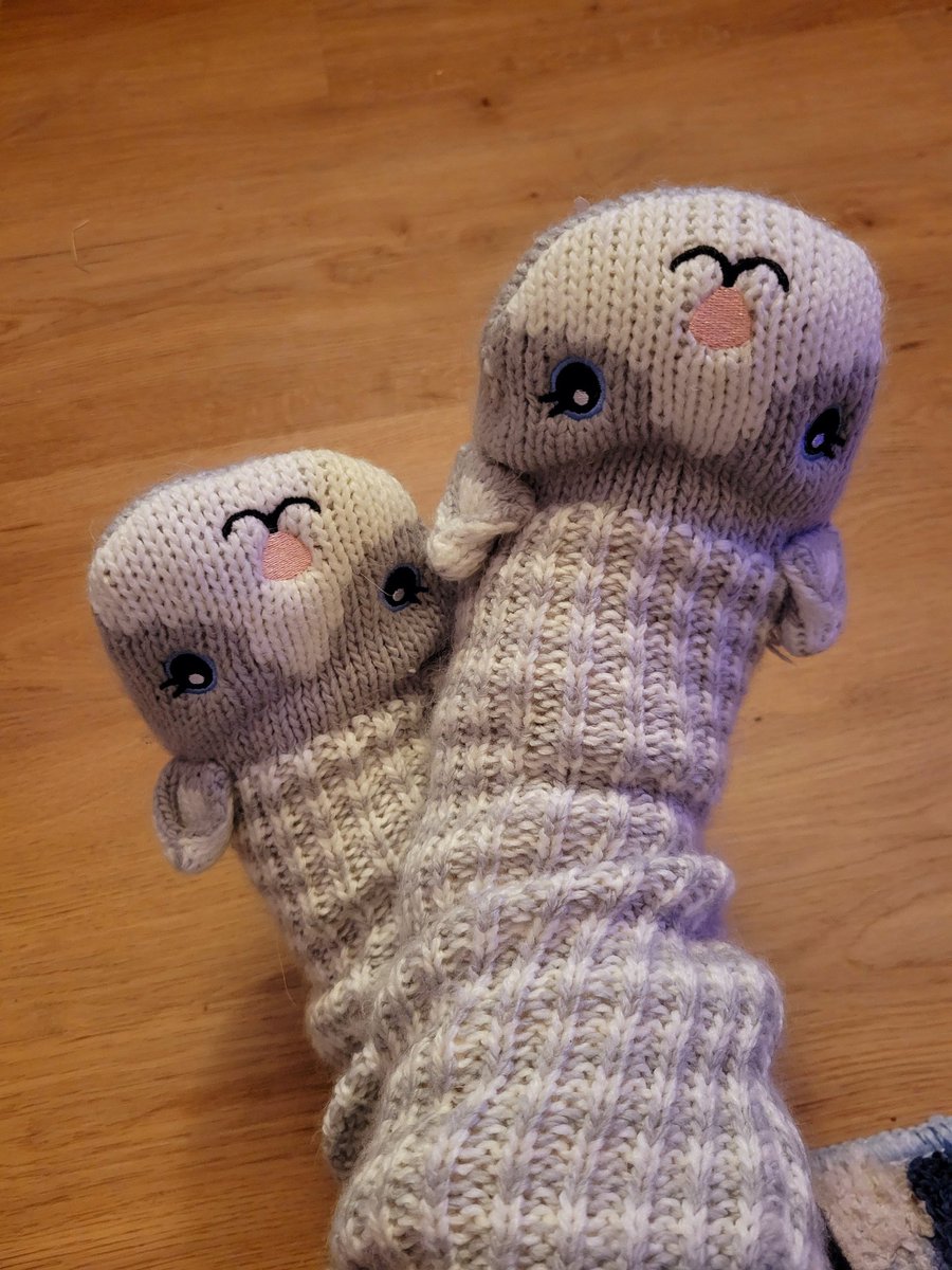 MissRabbitsFoot's tweet photo. Just a reminder to keep your feet warm so you don't get sick 😊💕 https://t.co/XaEDdnrTUj