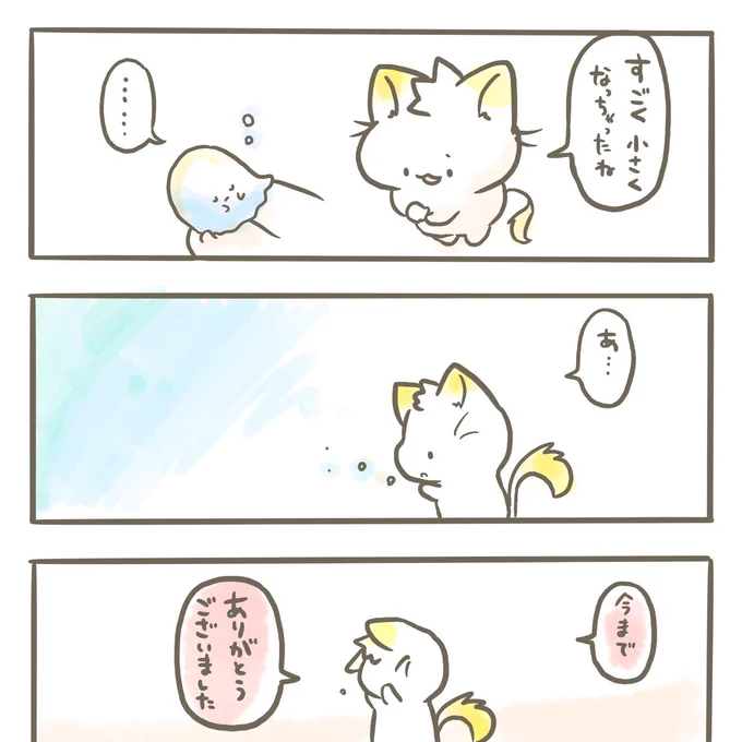 おはようございます🐱 