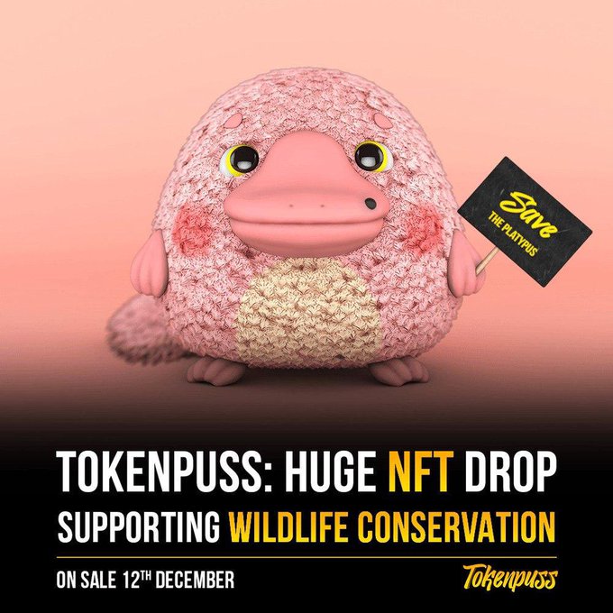 Let’s go This @tokenpuss NFT project is ? join the discord https://t.co/S7CWTdfTR5 #ad https://t.co/