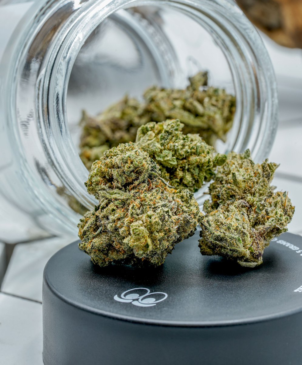 TheCornerlbc's tweet photo. Good CBD weed is hard to find. Look no further than Terry T x Gelato 33 from Pure Beauty. This strain is a 2:1 CBD:THC ratio. With more CBD you'll notice less of a high effect &amp; more of a feeling of calm throughout the body. Perfect to take the edge off without being stoned. https://t.co/K8MKSEAZKC