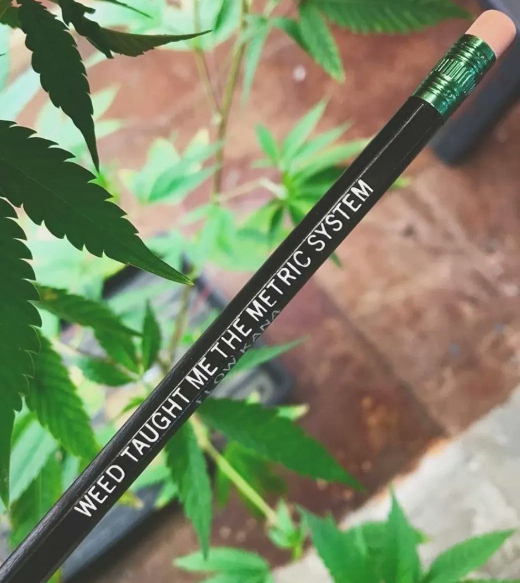 What else has #weed taught you? 💭🌱 <a href="/FlowKana/">Flow Kana</a>