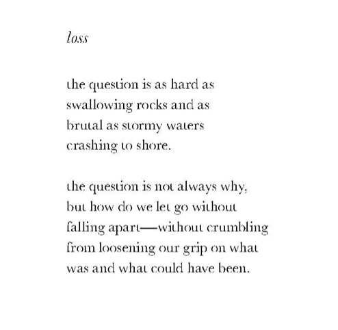 LauraB_221's tweet photo. 🕊 https://t.co/EOwLo1FDrA