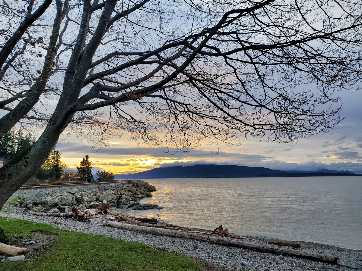 StoneWyre's tweet photo. An early sunset in the #PNW #sunsetphotography https://t.co/AGg0X5IoEb