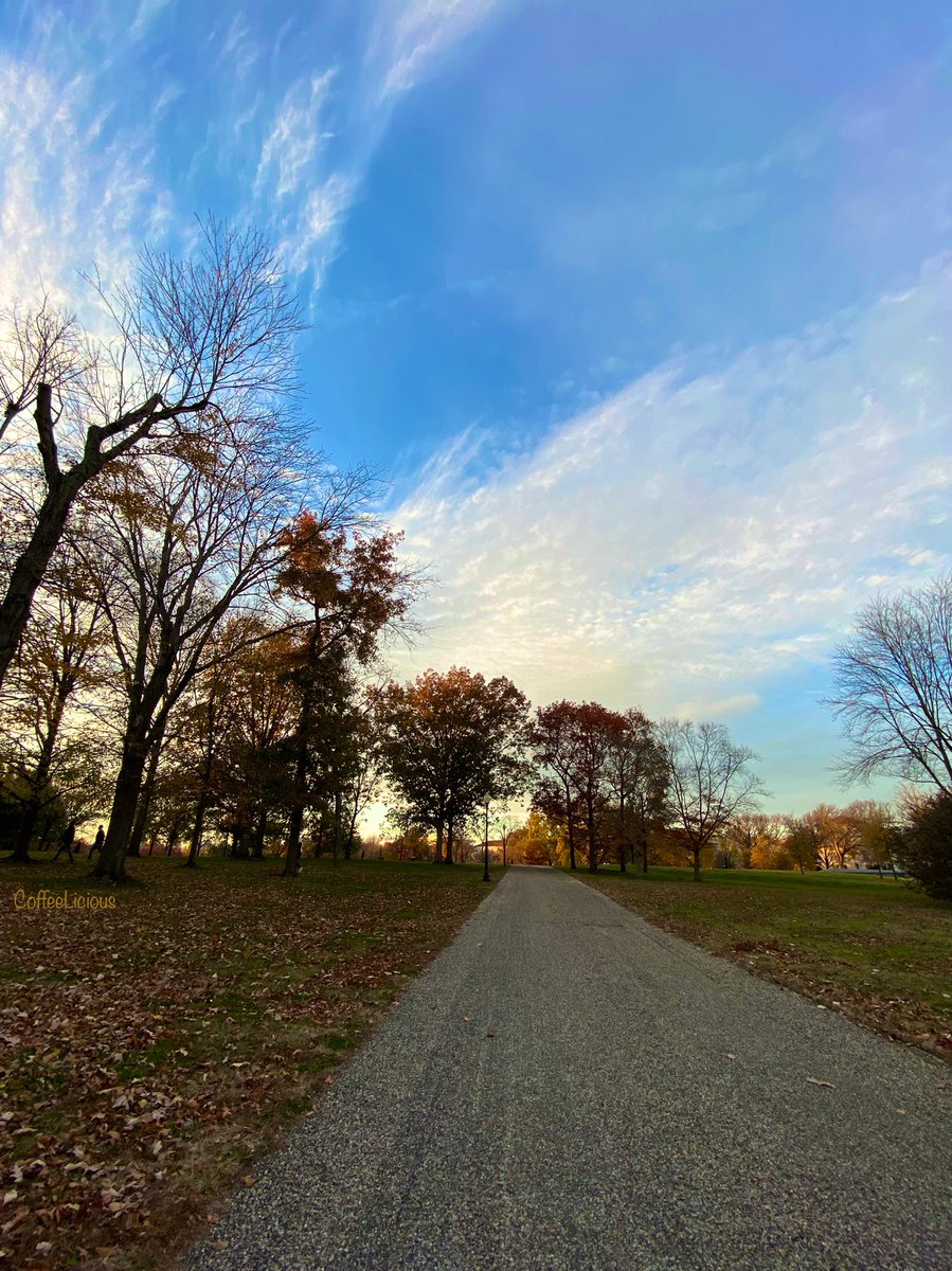 LiciousCoffee's tweet photo. Late afternoon in The Park waiting for the sunset ๐
#nature #NaturePhotography #sundown #EarlySunset #sunset #sunsetphotography https://t.co/bRHtwOLUaB