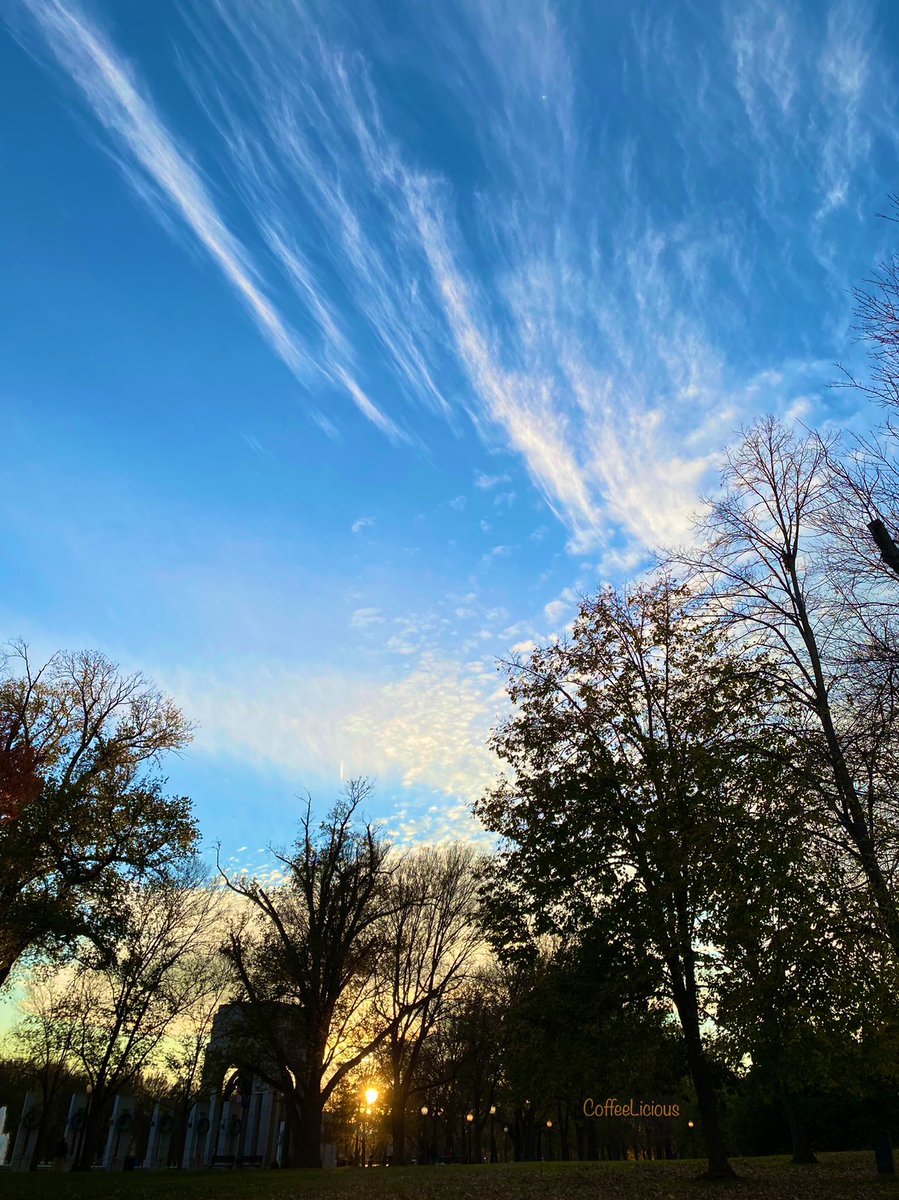 LiciousCoffee's tweet photo. Late afternoon in The Park waiting for the sunset ๐
#nature #NaturePhotography #sundown #EarlySunset #sunset #sunsetphotography https://t.co/bRHtwOLUaB