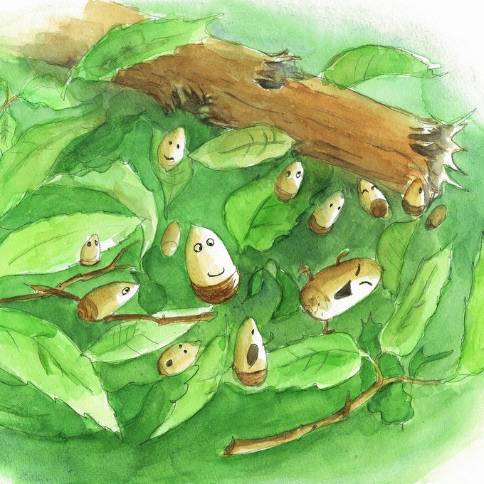 どんぐりころころのtwitterイラスト検索結果