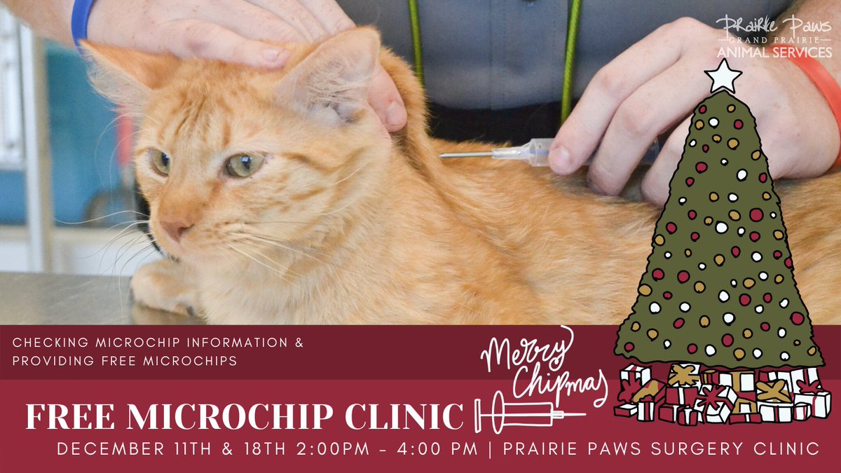 GPAS_TX's tweet photo. Do you know your pet’s microchip number? Is your information up to date? On December 11th and on December 18th we will be hosting a FREE microchipping clinic from 2PM - 4PM at our onsite vet clinic. If your pet doesn't have a microchip, we'll chip them for FREE! #chipmas https://t.co/7sEFBCZ6zz