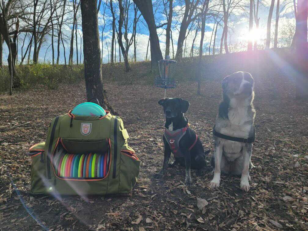 My son is still playing disc golf in Minnesota because the weather has been very nice. Nice for the grandpups because they get to tag along. His new disc backpack? Over the the top of course. Lol https://t.co/O5edIOYYoo