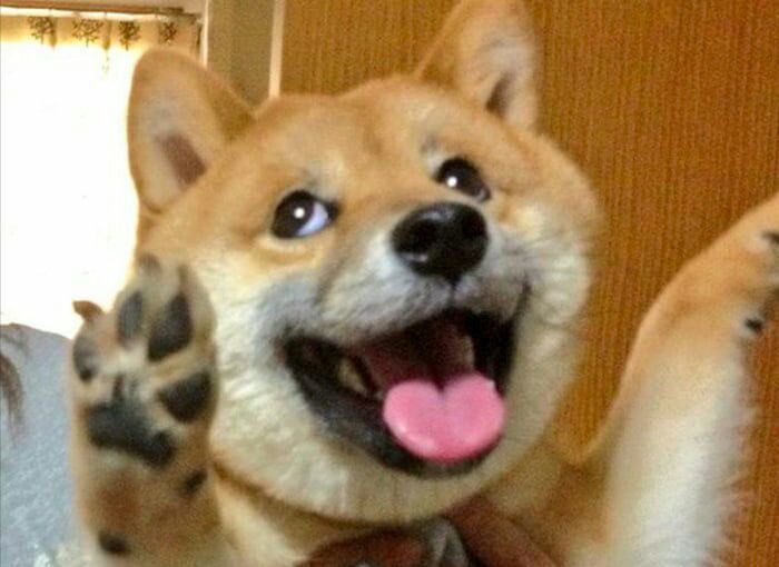 <a href="/elonmusk/">Elon Musk</a>