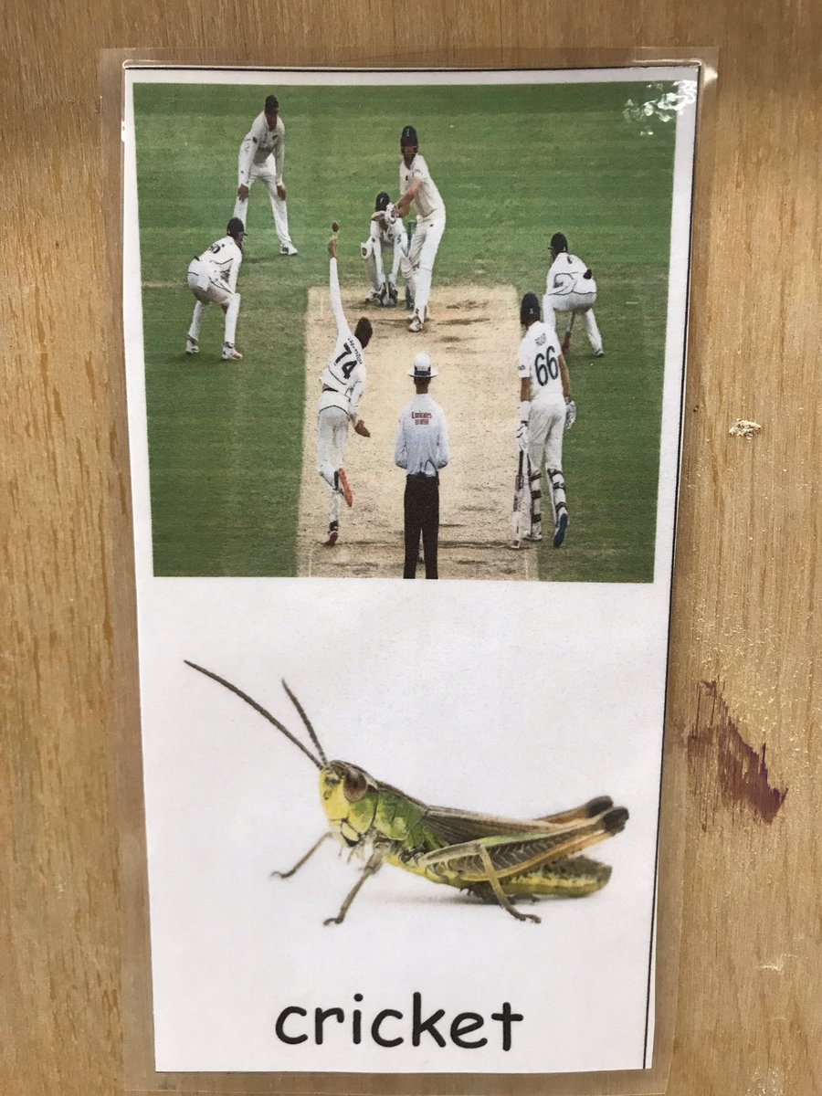 Ms.Persaud’s Falcons tweet media