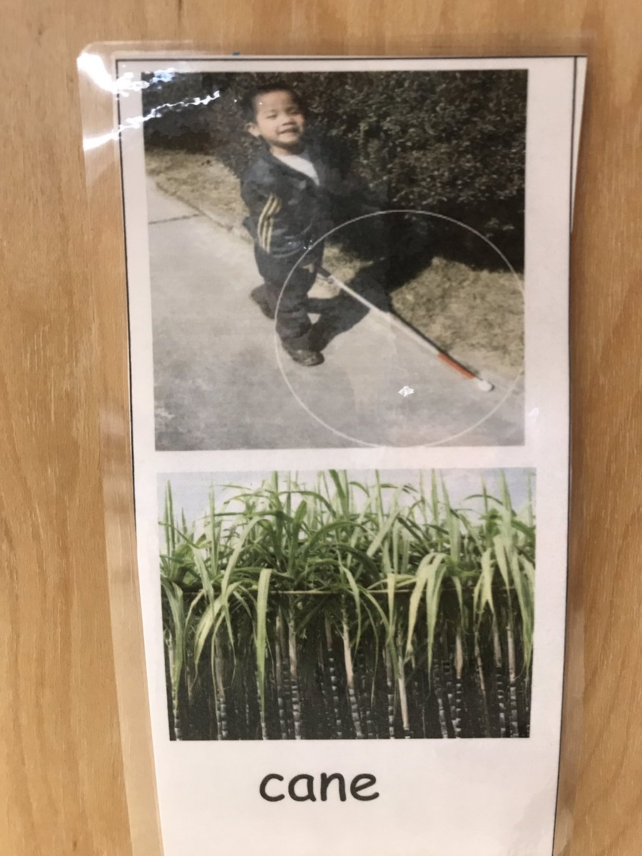 Ms.Persaud’s Falcons tweet media