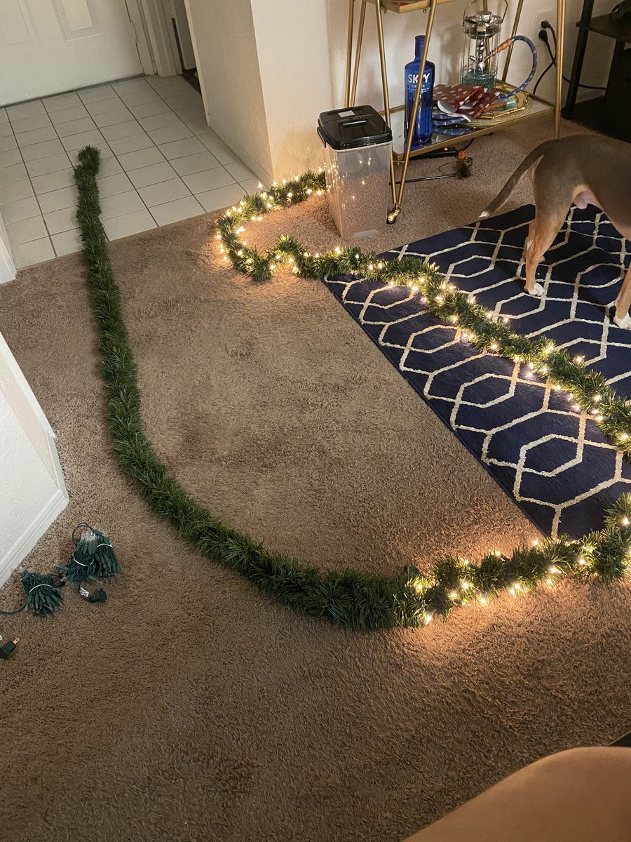 Caseyvipwhite's tweet photo. how it started vs how it’s going I just love Christmas! 🎄🎁🥳 https://t.co/7Zih5JWlYV