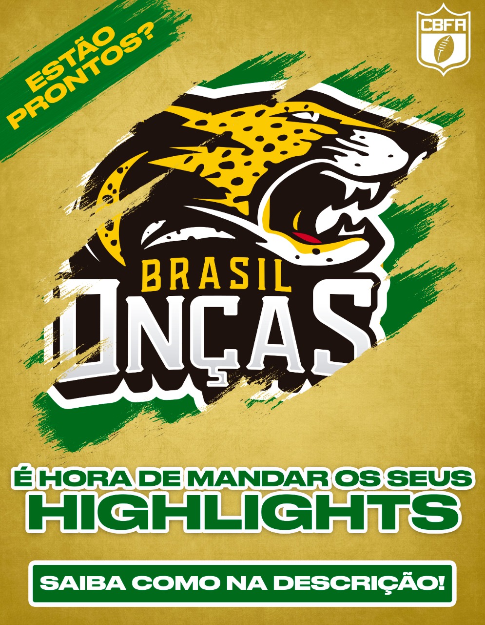 Brasil Nacional Football Americano - Confederacao Brasileira De