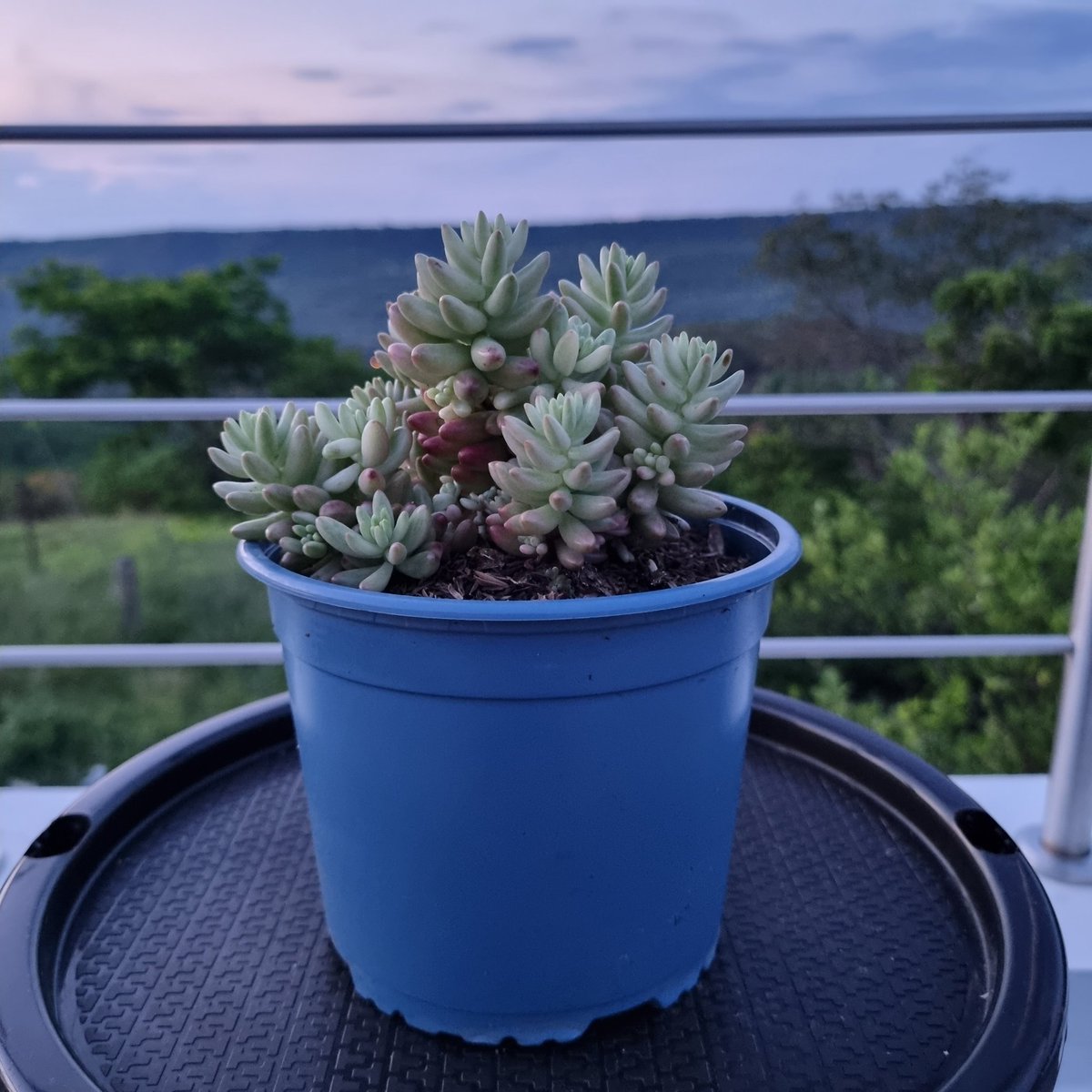 lovesucuart's tweet image. 