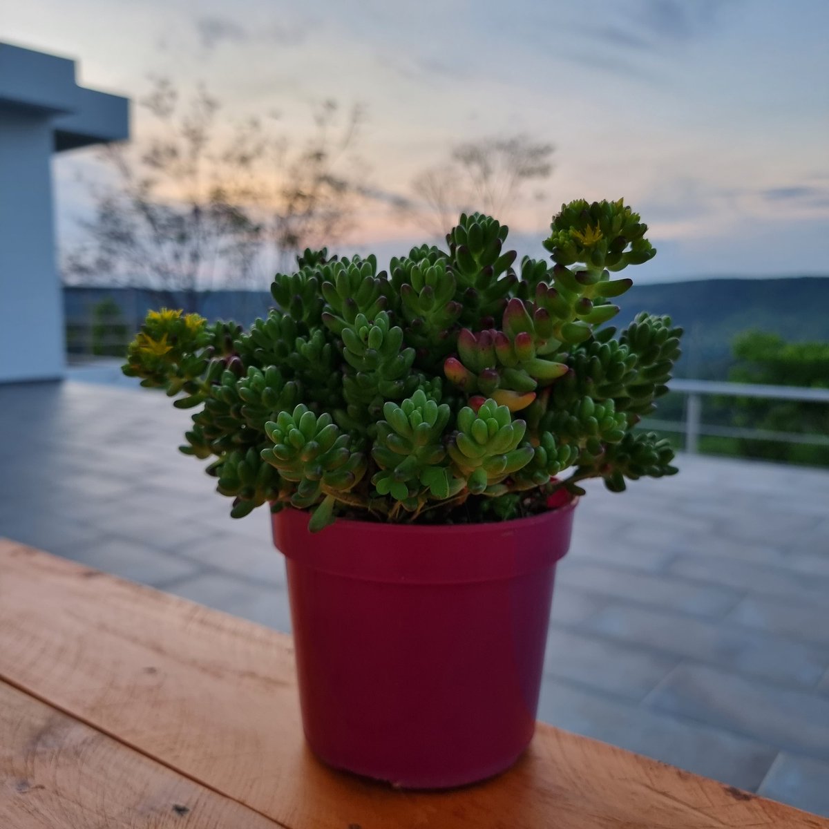 lovesucuart's tweet image. 