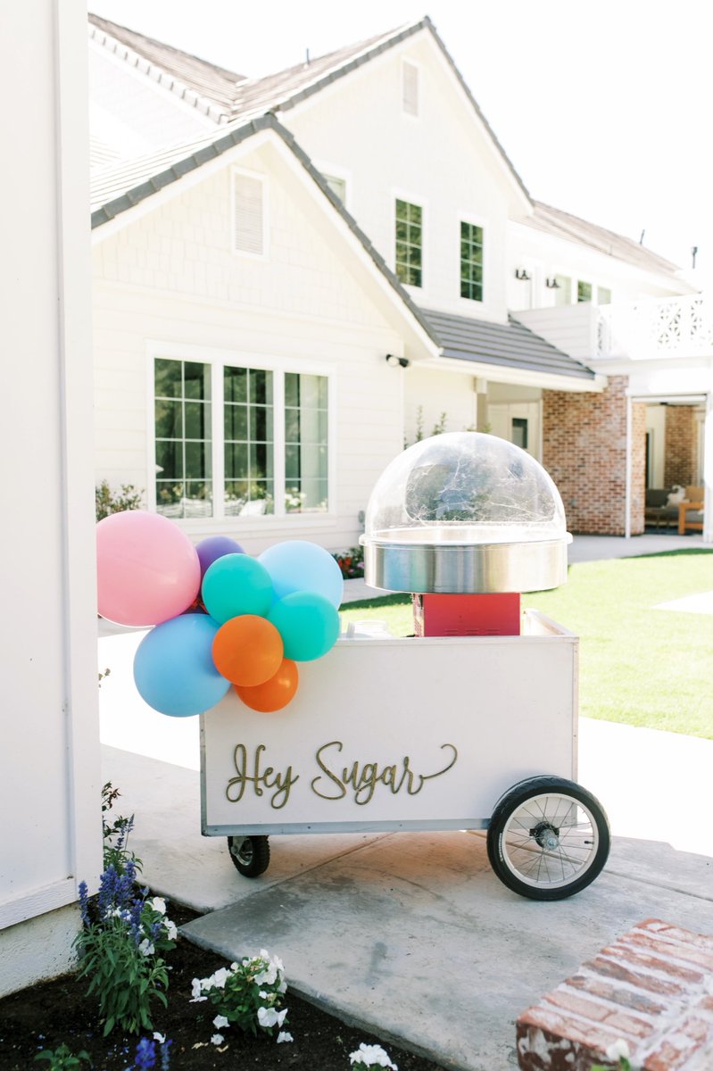 Ally Shandrew tweet media