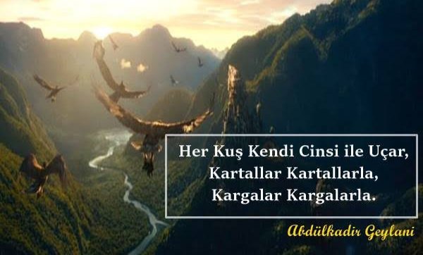 Abdullah Erdemir (@abdullaherdmr) on Twitter photo 