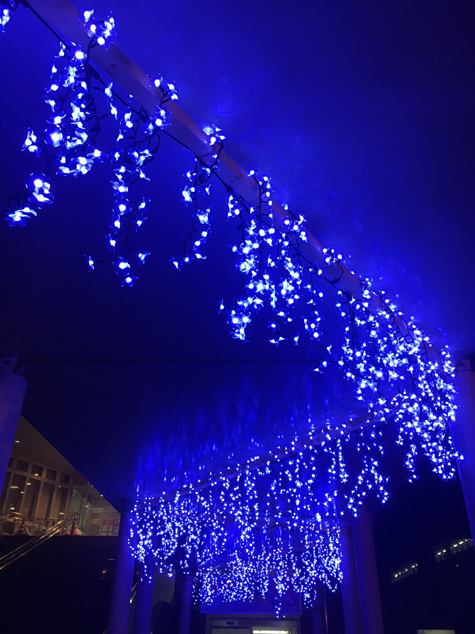 Twitter এ 岩手町公式アカウント いわて沼宮内駅にイルミネーション点灯 農商工連携 えん結び 事業の一環として岩手 町商工会と農協の青年部が一緒にイルミネーションを設置しました 来年の3月まで点灯される予定です 岩手町 岩手県 岩手 Igr Jr Twitter এ 岩手町公式アカウント いわて沼宮内駅にイルミネーション点灯 農商工連携 えん結び 事業の一環として岩手 町商工会と農協の青年部が一緒にイルミネーションを設置しました 来年の3月まで点灯される予定です 岩手町 岩手県 岩手 Igr Jr