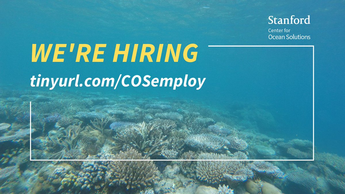 Are you interested in the intersection of ocean science and policy and want to be part of building solutions for current and future ocean issues? If so, visit our website to learn about our employment opportunities!