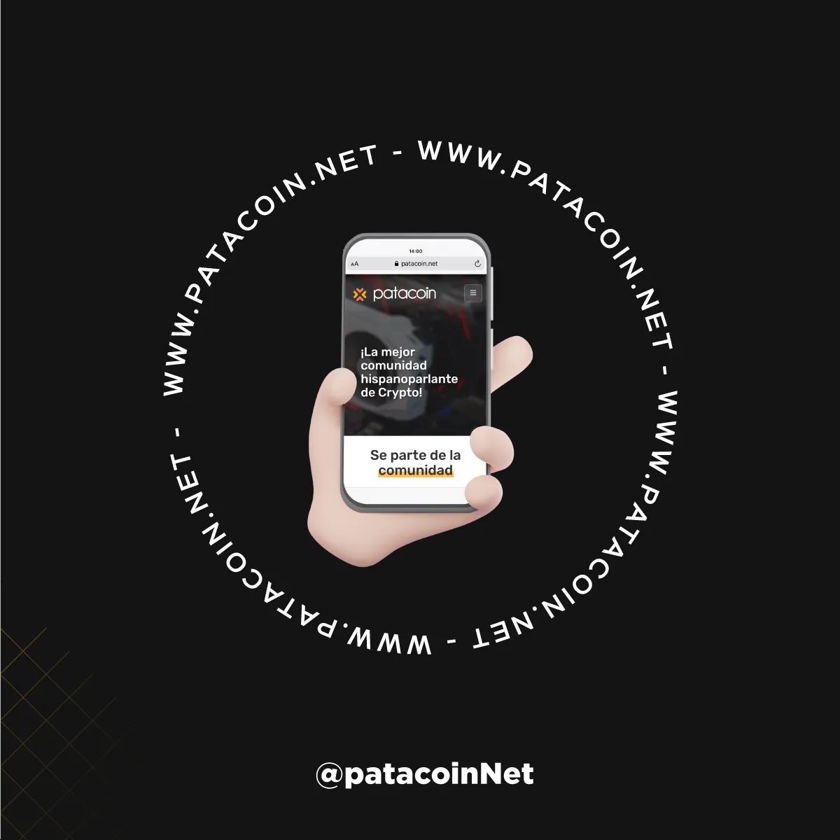 patacoin.eth tweet media