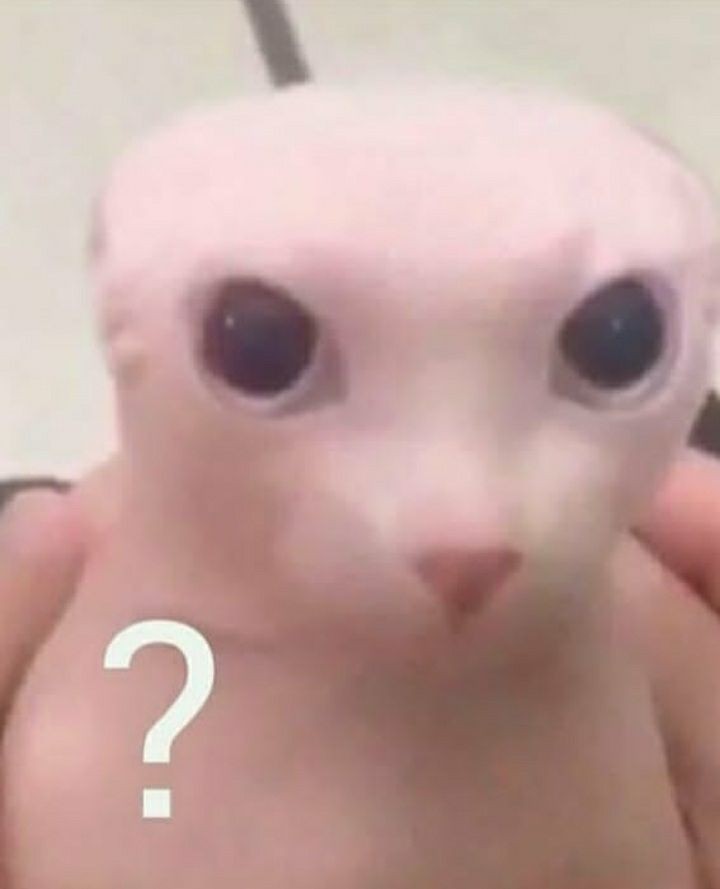 มันมาเอารัย