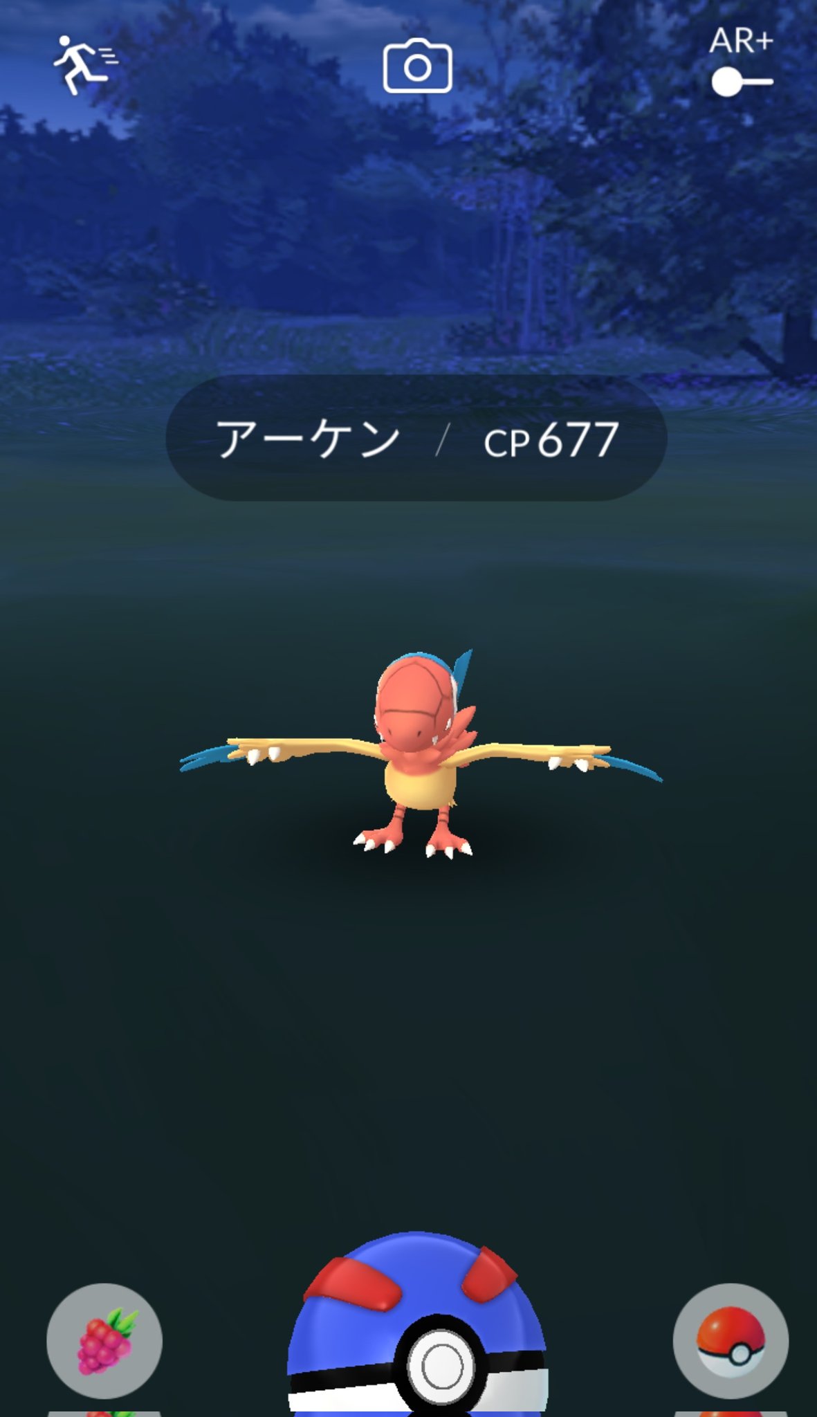 K Tekotekop そこそこ長くポケモンgoやってるのですが まだ野生のアーケンは見たことなくて うらやましいです エレブーまたチャンスがあるといいですね Twitter