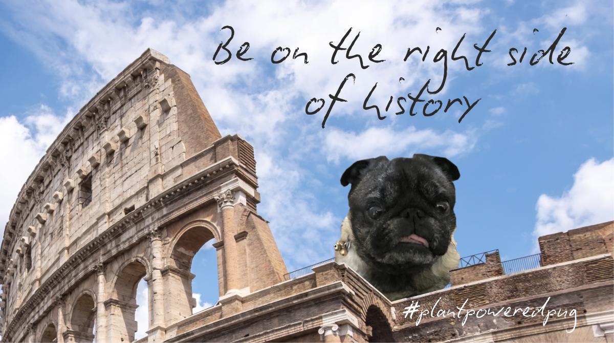 Our MAD Ideas 2022 limited edition mini desktop calendar is in paw-duction with CEO Bingo and pals! 

DM us: ‘Bingo!’ if you’d like to be added to Santa’s mailing list (UK postage only)

#designlife #madideas #puglife #plantpoweredpug #create #photoshop #calendar #design #logo