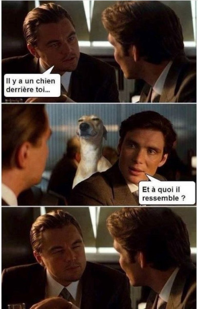 Equipe1erDegre's tweet image. 