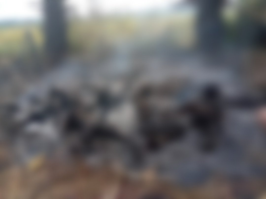 Tw // Sensitive Content  11 innocent villagers were tied up and burnt to DEATH by #MyanmarMilitaryTerrorists in Sagaing's Salingyi, Dondaw Vlg, at 8 AM today. <a href="/ICJ_org/">ICJ</a>   #Dec7Coup #WarCrimesOfJunta #WhatsHappeningInMyanmar