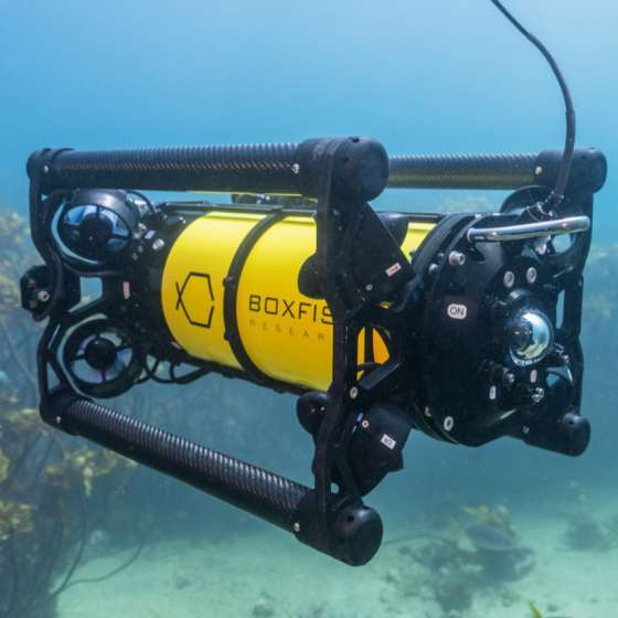 Volcanic_Lakes_IAVCEI (@viavcei) on Twitter photo 3-year fully funded PhD on submarine volcanic emissions "Transformational methods for assessing subaqueous volcanic hazards in NZ and beyond" at the School of Geography, Environment and Earth Science at Victoria University of Wellington, NZ. more info: ian.schipper@vuw.ac.nz 3-year fully funded PhD on submarine volcanic emissions "Transformational methods for assessing subaqueous volcanic hazards in NZ and beyond" at the School of Geography, Environment and Earth Science at Victoria University of Wellington, NZ. more info: ian.schipper@vuw.ac.nz