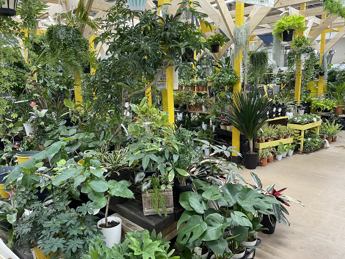 dobytoge's tweet photo. ああ…棲みつきたい。
疲れるとつい来てしまう。禁断症状かな？ https://t.co/8hZQ7iUVX7