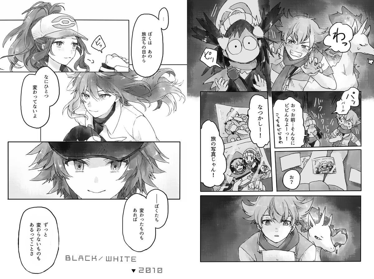 ページ数がかなり多いのでサンプルはpixivでご覧ください…!
書き下ろしの作品はサンムーン、剣盾です 