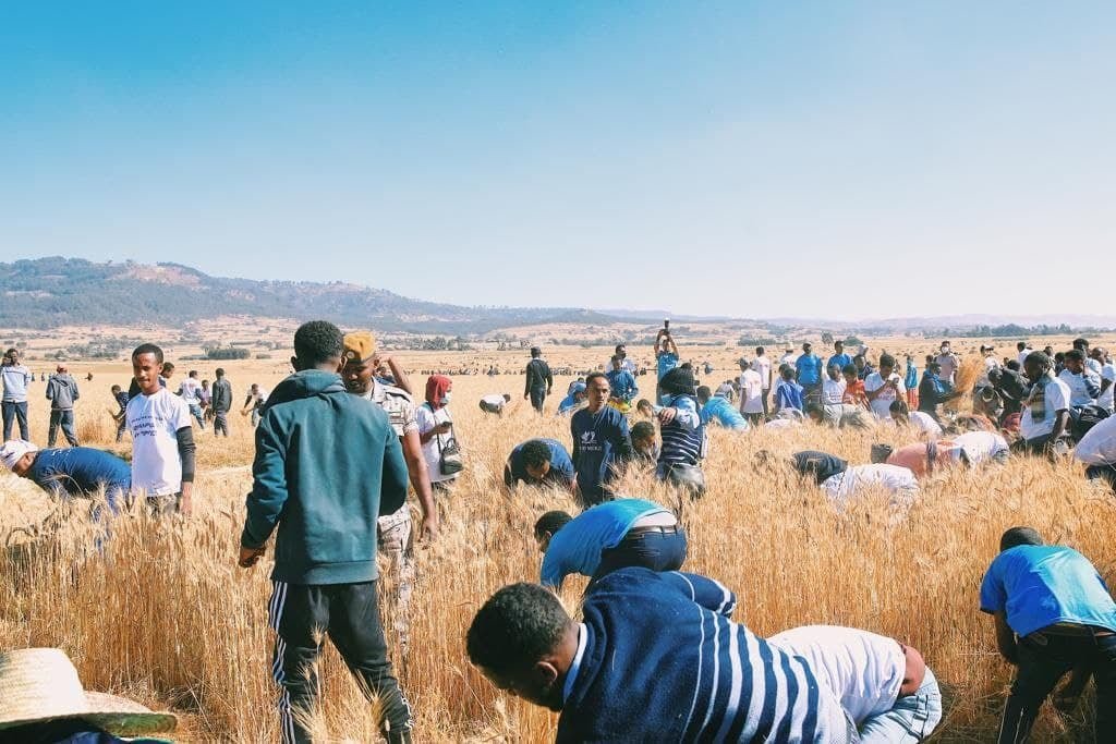 AdanechAbiebie's tweet photo. This campaign in which 30,000 high school students and members of the education community participate with great patriotism shall continue in the coming days through blood donation, neighborhood protection, and harvesting the crops of the families of our soldiers and militias.2/2 https://t.co/hltqk64KyS