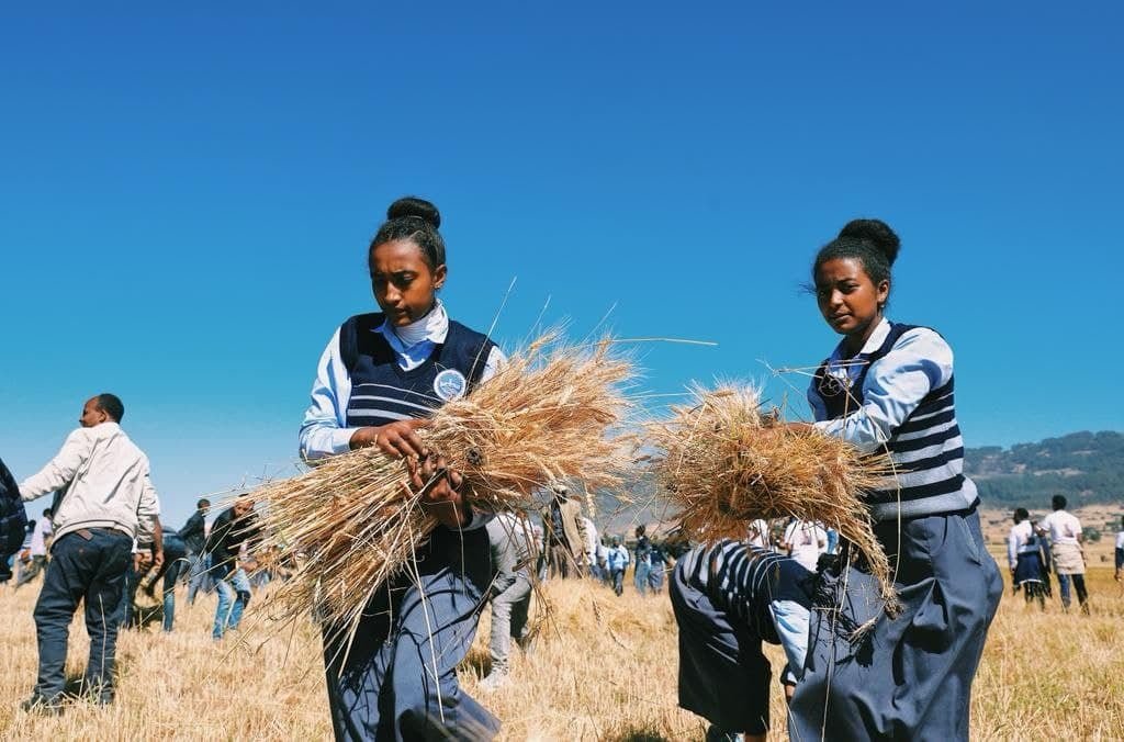 AdanechAbiebie's tweet photo. This campaign in which 30,000 high school students and members of the education community participate with great patriotism shall continue in the coming days through blood donation, neighborhood protection, and harvesting the crops of the families of our soldiers and militias.2/2 https://t.co/hltqk64KyS
