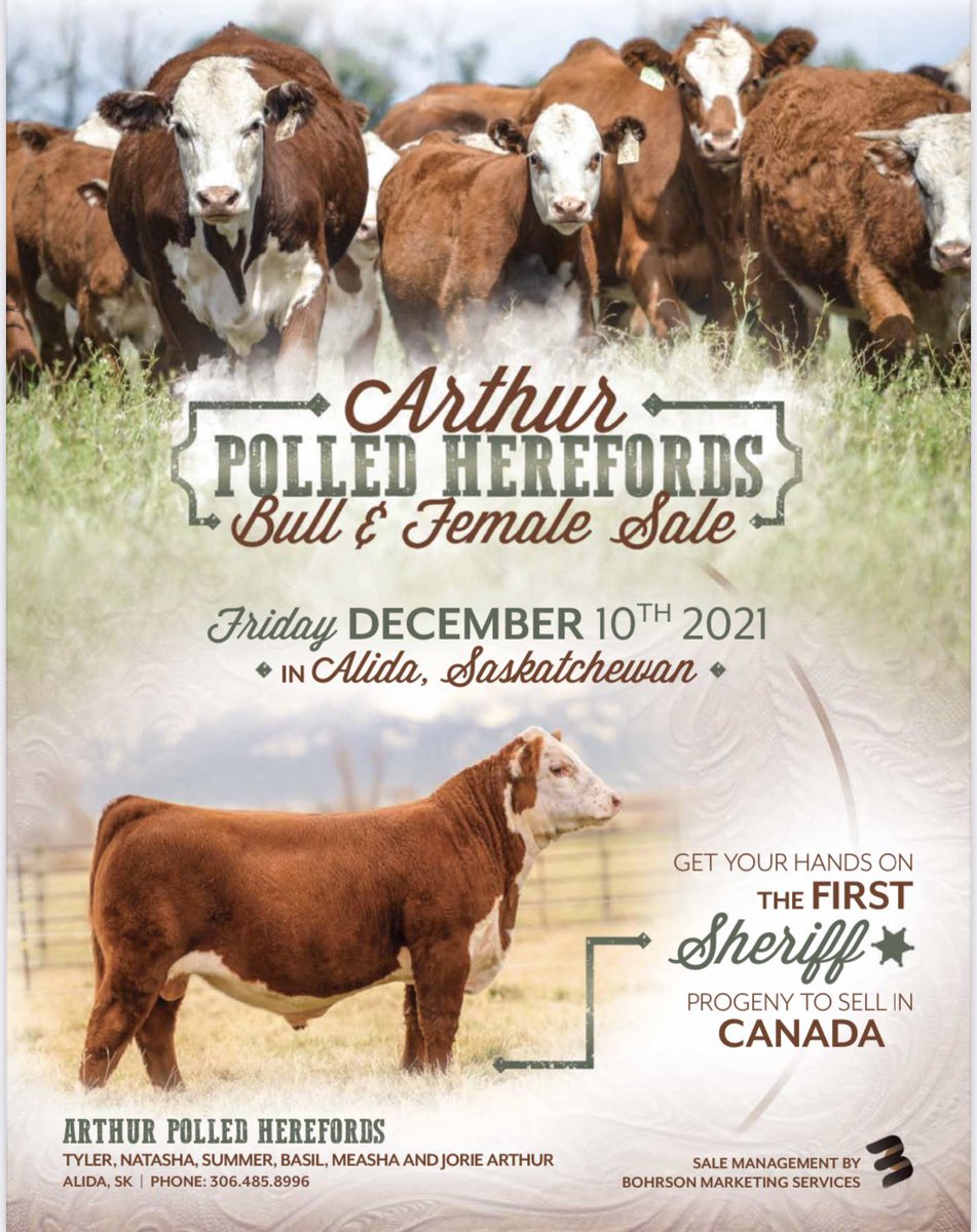 ArthurPolled tweet picture