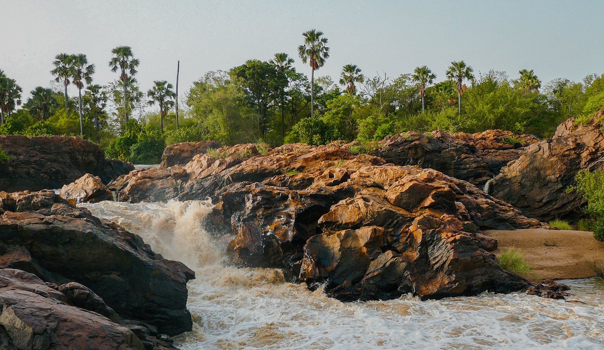 Celebrating the important efforts of Sustainable Biodiversity Conservation in Africa. #Niger  #SustainableBiodiversity