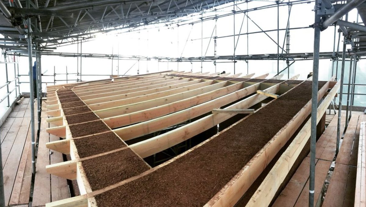 hudsonarch's tweet photo. The roof of the new @CobBaugeProject research building at the University of Plymouth (@PlymUni) is speeding rapidly towards completion!
Shared by onsite architect Mathew Fox @FoxEcoArc .
#cobconstruction #cobbauge #eathbuilding #sustainablearchitecture #cob #lowenergybuilding https://t.co/qeToI8DnuD