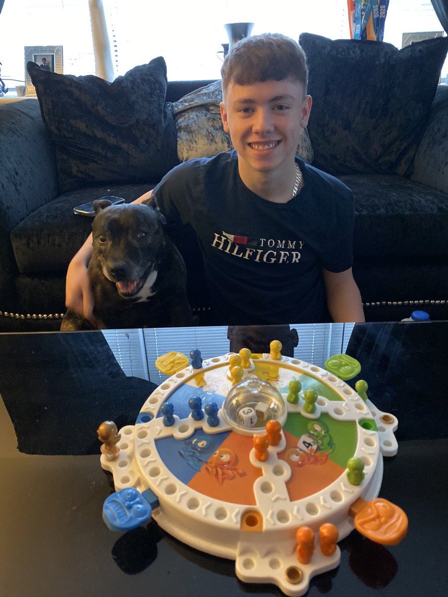 WeeYin_76's tweet photo. Our big bro is 20 today… he’s getting on a bit 😂 going to pinch his@cake soon 😋 #Staffie #Hubro #Birthday #Cake #SeniorStaffie #Family oxo https://t.co/RhXqMj4RI4