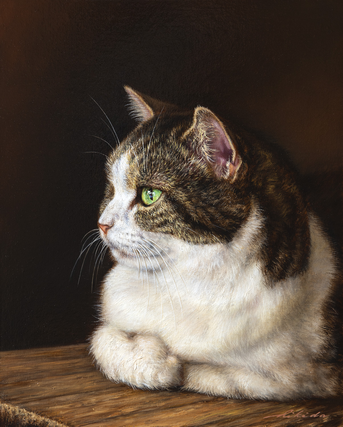 ご購入 ネコ マンチカン 油絵 猫 F23f50aa 日本の通販オンラインショップ Pn Batam Go Id