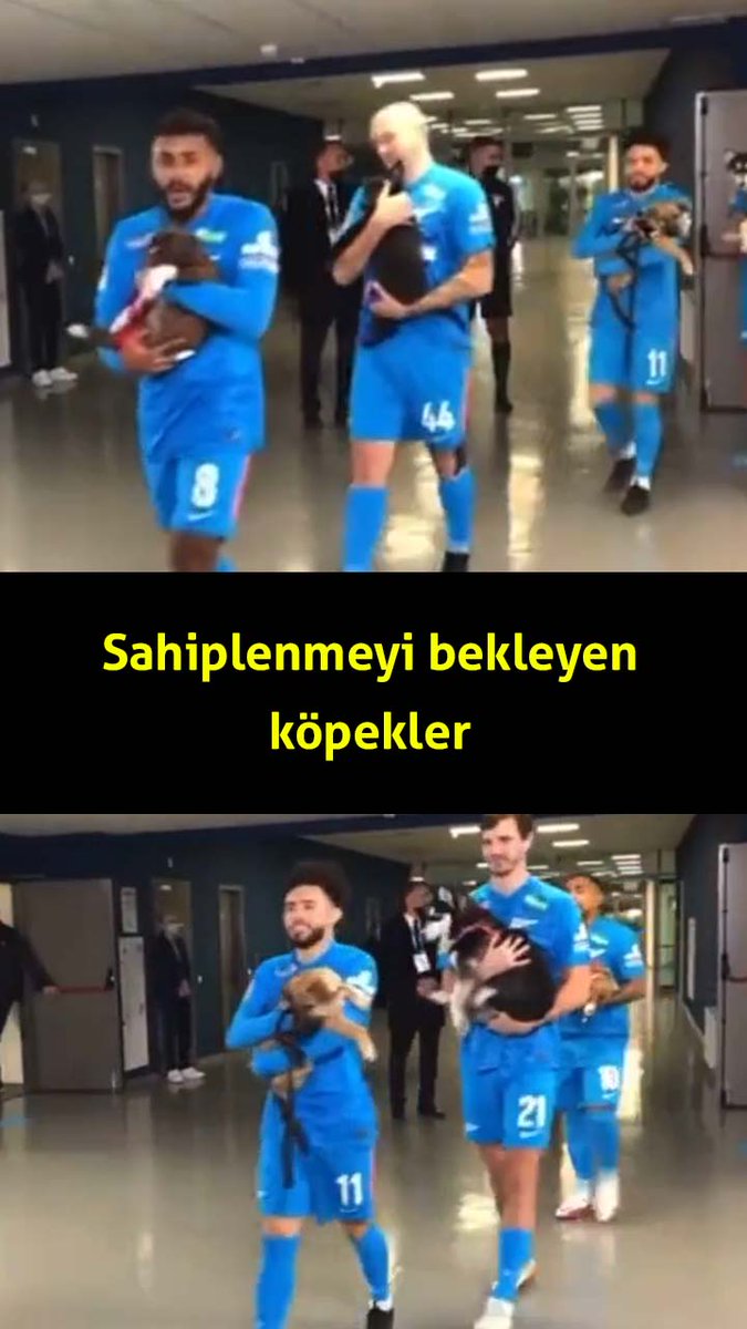 hulya_kibaroglu's tweet photo. Hey, işte seveceğin bir video video👇🏻👇🏻, senin için buldum, gel bir göz at! 😎😎 #Likee #HelloLi #LIKEEap https://t.co/Sefgds3UwN https://t.co/vmkBBgtj69