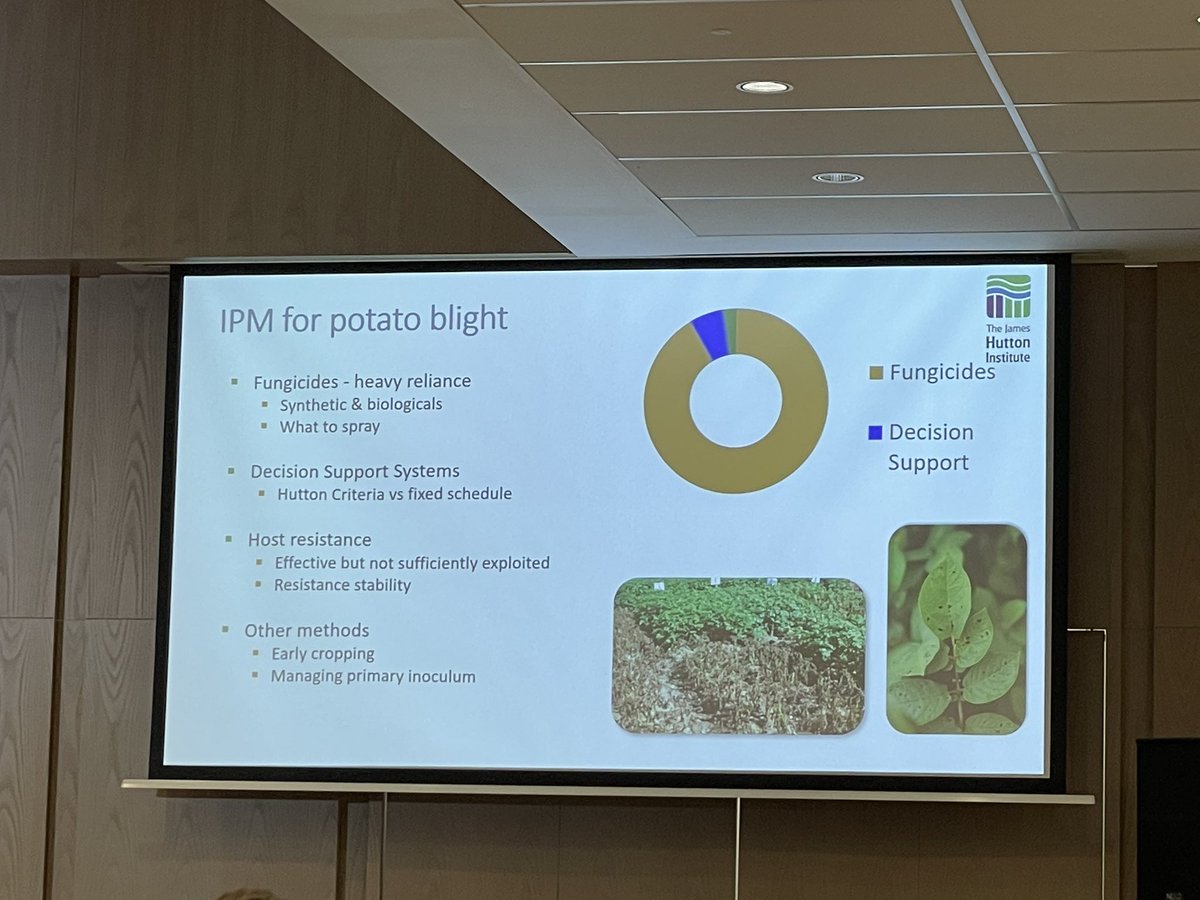 MahmutTor's tweet photo. How to manage the plant destroyer, P. infestans? @Llewelyn68 is describing their collaborative work, EuoroBlight, on this pathogen @BS_PP #OPOF21 https://t.co/gH5C9PWNK6