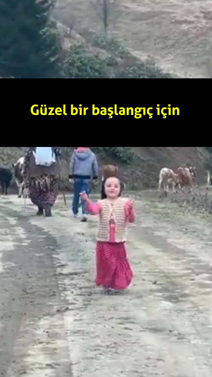 hulya_kibaroglu's tweet photo. Hey, işte seveceğin bir video video👇🏻👇🏻, senin için buldum, gel bir göz at! 😎😎 #Likee #HelloLi #LIKEEap https://t.co/8q3a3QRFo2 https://t.co/CFmEdDqx5X