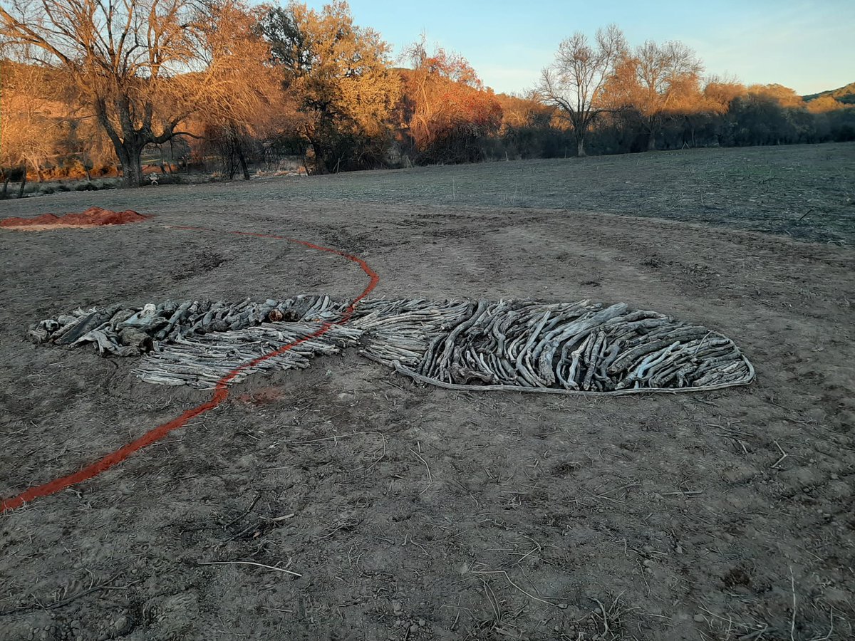 escarabajoTVE's tweet photo. Se multiplican los autores que hallan su inspiración en la Naturaleza. Es una vuelta al Land Art o 👉"ARTE en la TIERRA” Viernes10/Dic ⏰18:10 (17:50 Cat) @la2_tve
@_LuzMadrid #LuzInterruptus #JavierRiera #ElEjeArbóreo
#ColectivoDiálogosconelPaisaje
@CienciaRTVE @rtveplay https://t.co/FYr4XUXkoZ