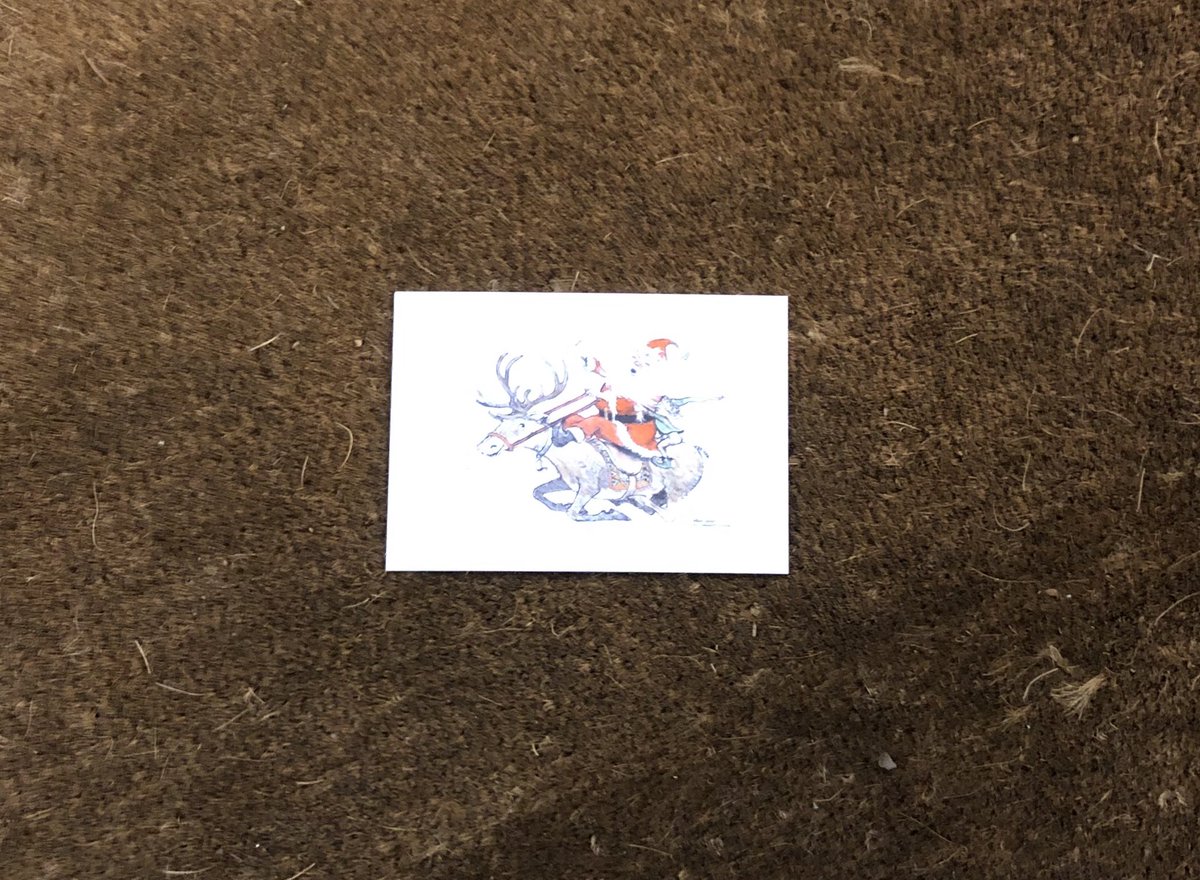 anitaflamingo1's tweet photo. So exciting! This has just landed on the doormat and the most humungous sack is outside.... looks like we have a delivery from F.C..... https://t.co/yXrYg0SToo