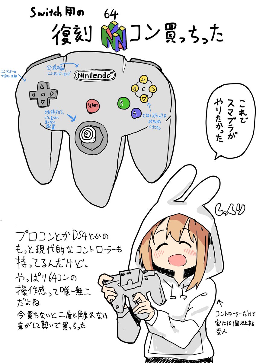 ニンテンドー通販からアレが届いた簡易日記
一ヶ月くらい入荷待ちだった 
