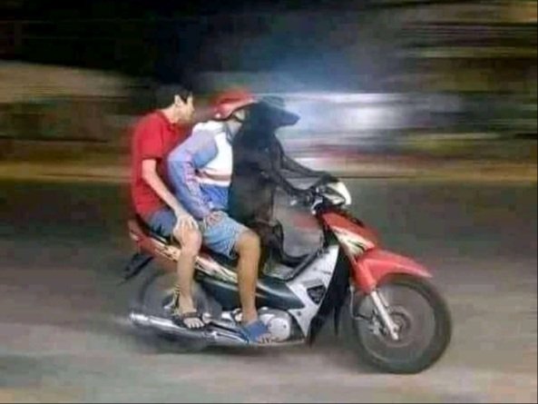 Solo_Jokes's tweet photo. Moi : On était saouls la nuit dernière. Tu te rappelle de comment on est rentré ? 

La nuit dernière https://t.co/59plYOfzD4