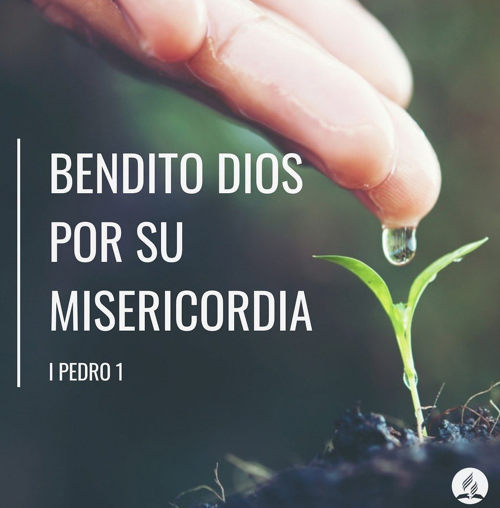 greyesc_01's tweet photo. “No olviden que han sido rescatados de la vida vacía que aprendieron de sus padres; pero no con un rescate material de oro o plata, sino con la sangre preciosa de Cristo, el Cordero sin mancha ni defecto”.

Hoy, la vida tiene sentido porque caminamos con Jesús. 😊 https://t.co/f9JqkeB84f