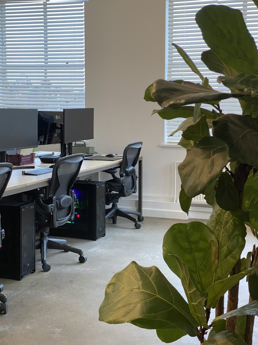 XK Studio tweet media