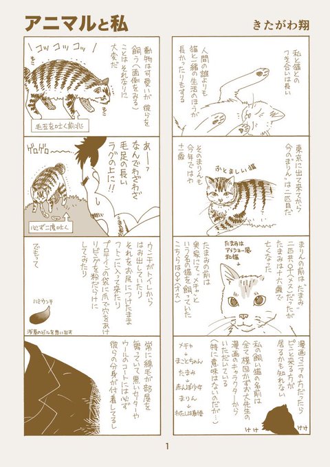エッセイ漫画  アニマルと私 